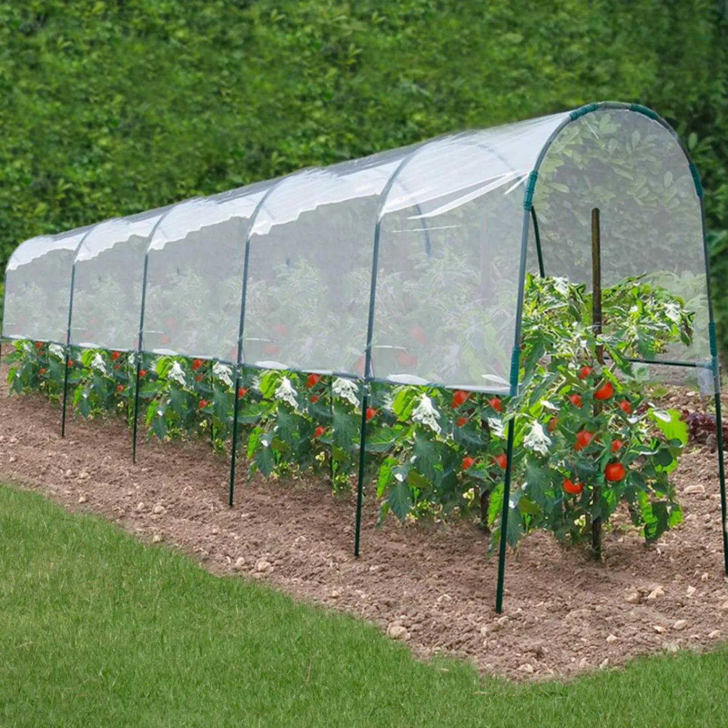Serre à tomates tunnel 6 m*IDMarket New