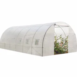 Serre 6x3 m transparente*IDMarket Outlet