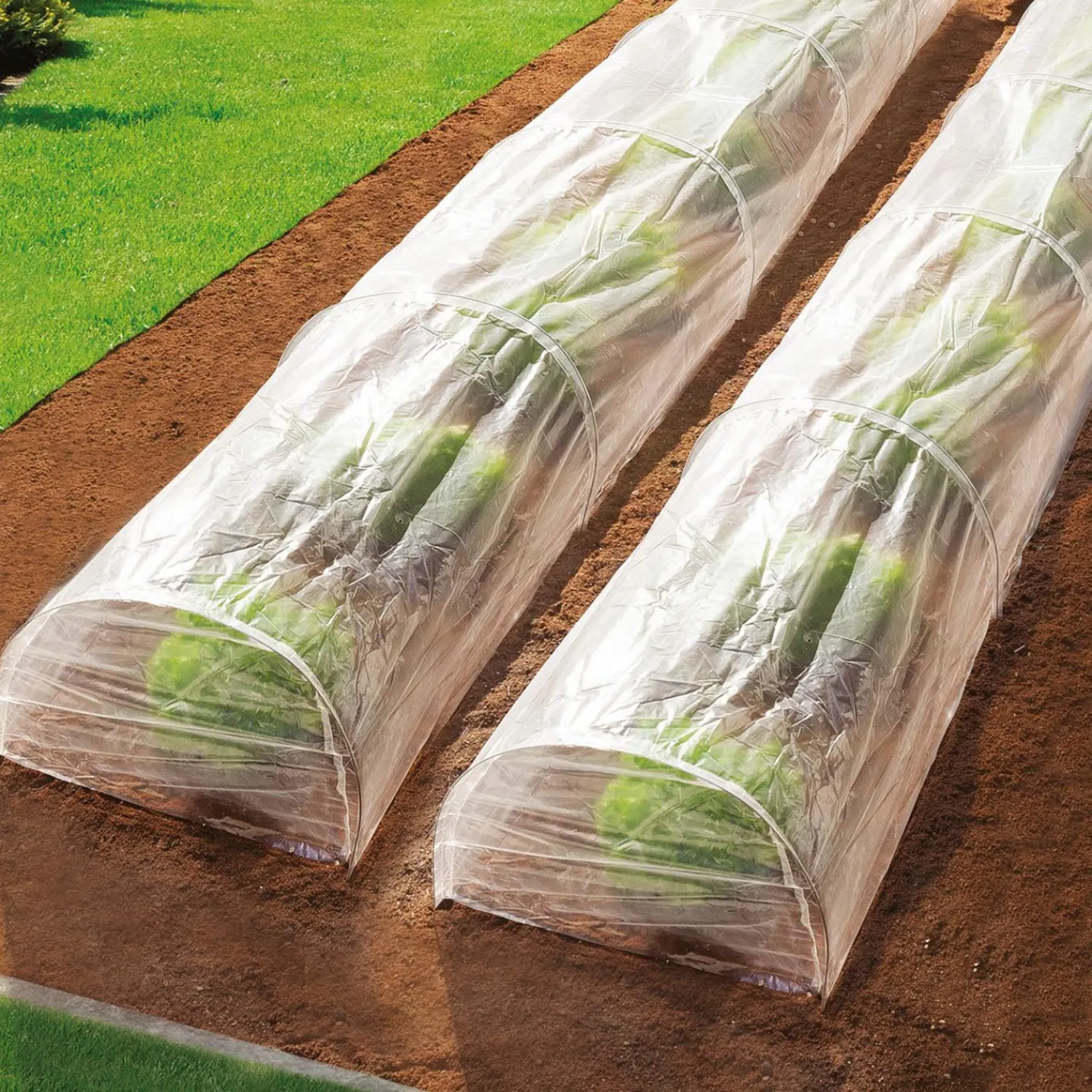Tunnels de forçage 4 M pour cultures*IDMarket Online